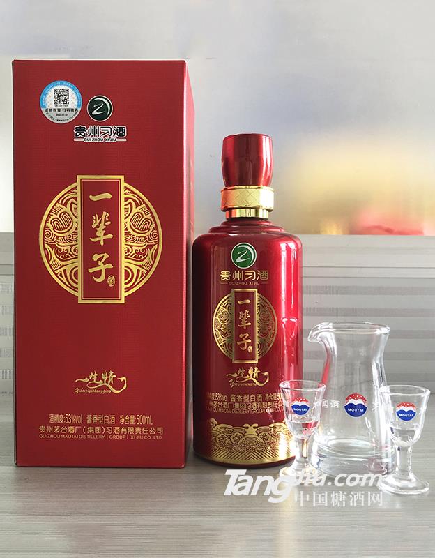 53°贵州习酒一辈子500ml