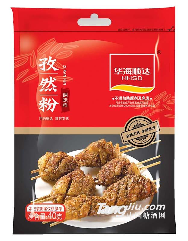 华海顺达孜然粉40g