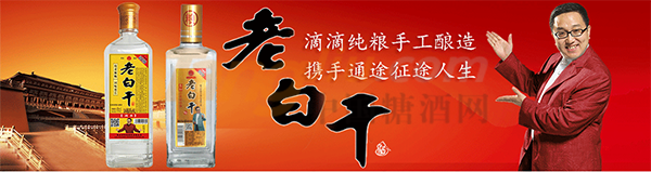 衡水老窖坊酒业有限公司 (1).png