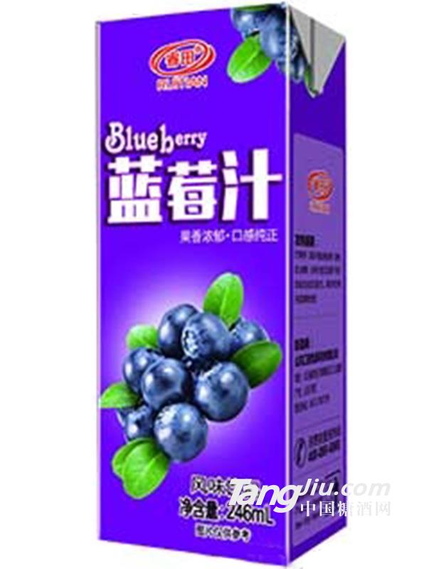 睿田蓝莓汁风味饮品246ml