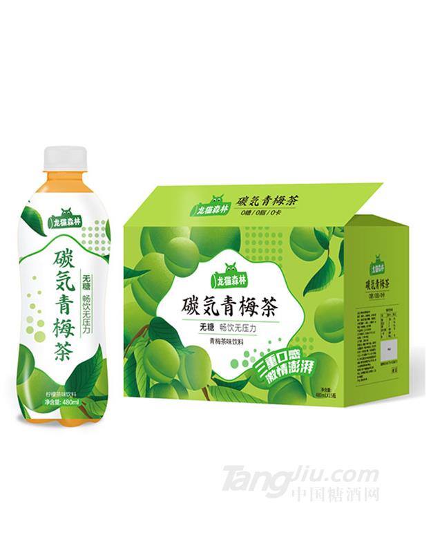 龙猫森林碳气青梅茶480mlx15瓶