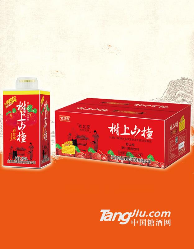 京绿园树上山楂500ML×12盒