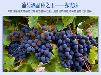 海南酒立来 赤霞珠红葡萄酒307.png