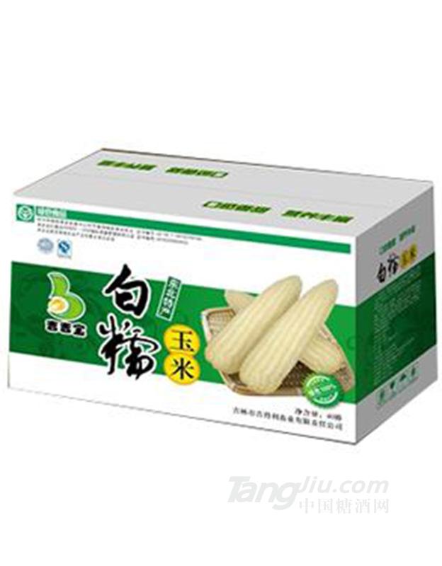 吉得利白糯玉米
