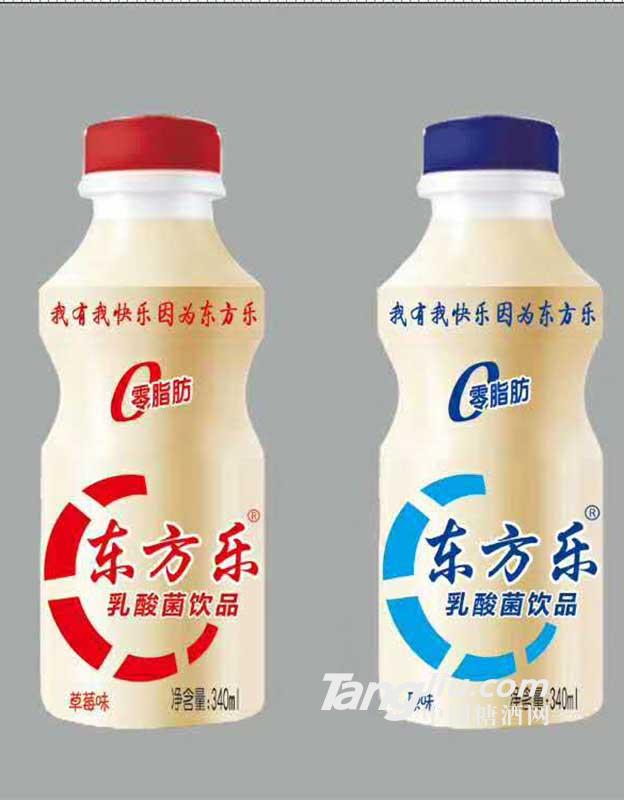 东方乐 乳酸菌饮品