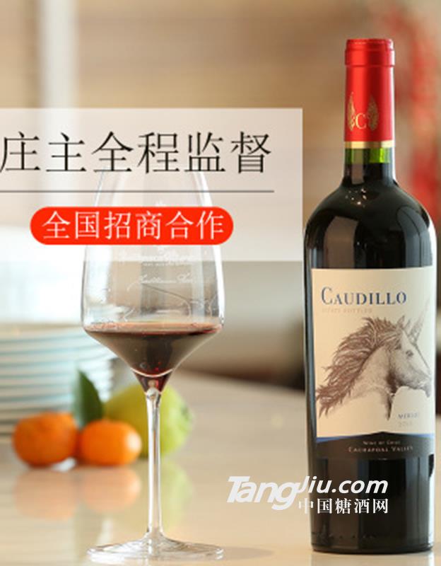 智利红酒酒庄直供考迪罗梅洛干红葡萄酒蓝标-750ml