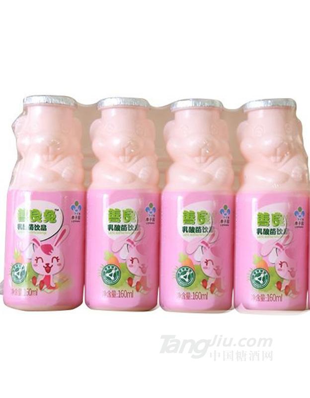 善良兔乳酸菌饮品乳饮料160ml
