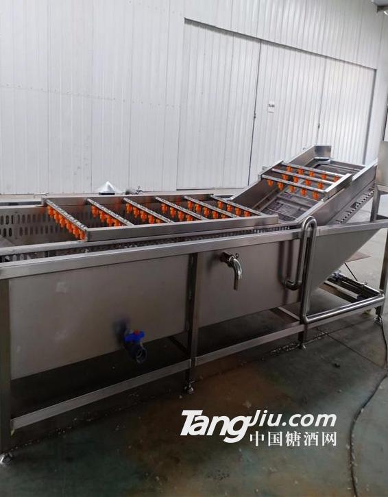 供应气泡式清洗机专业加工设备