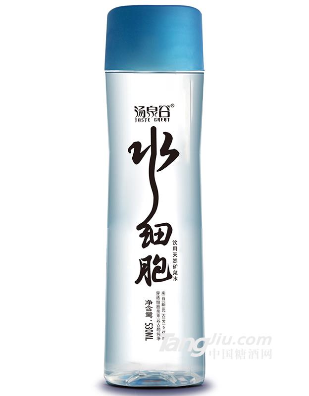 汤泉谷水细胞530ml