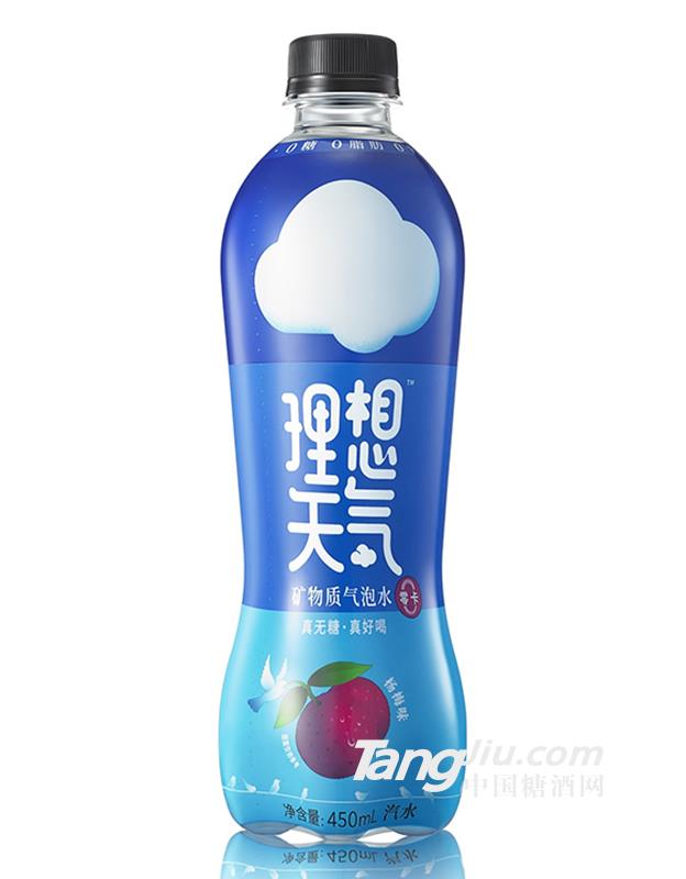 理想天气·矿物质气泡水杨梅味450ml