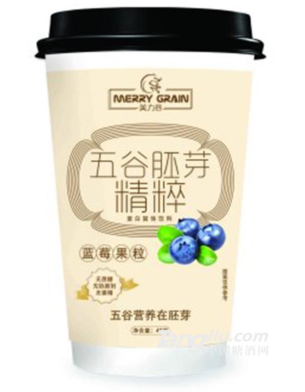 美力谷蓝莓果粒 45g