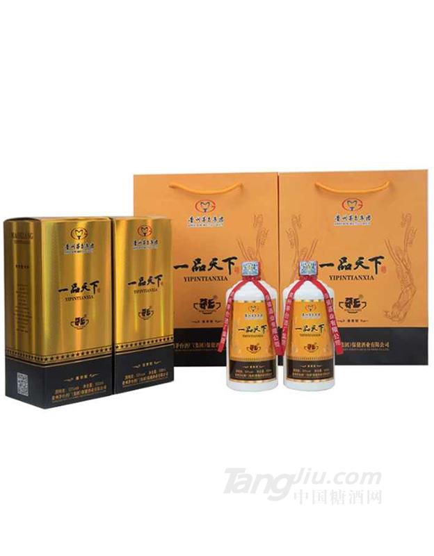 53°一品天下精品两盒装-500ml