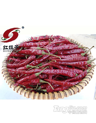 红娃子 望都椒