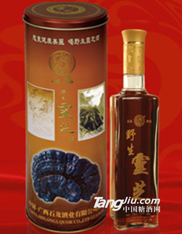 石龙井野生灵芝酒500ml