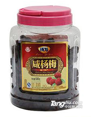 扬发-咸杨梅-500g