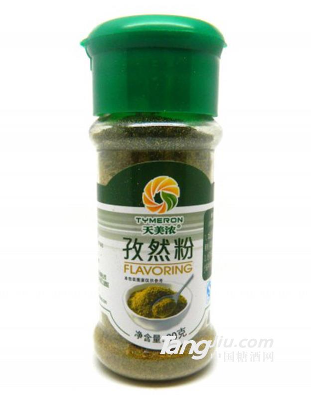 天美浓孜然粉45g