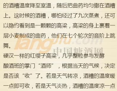 传奇天露 (4).jpg