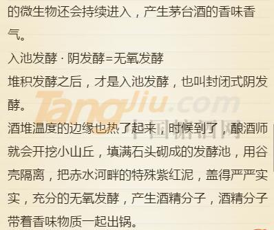 传奇天露 (6).jpg