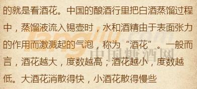 传奇天露 (26).jpg