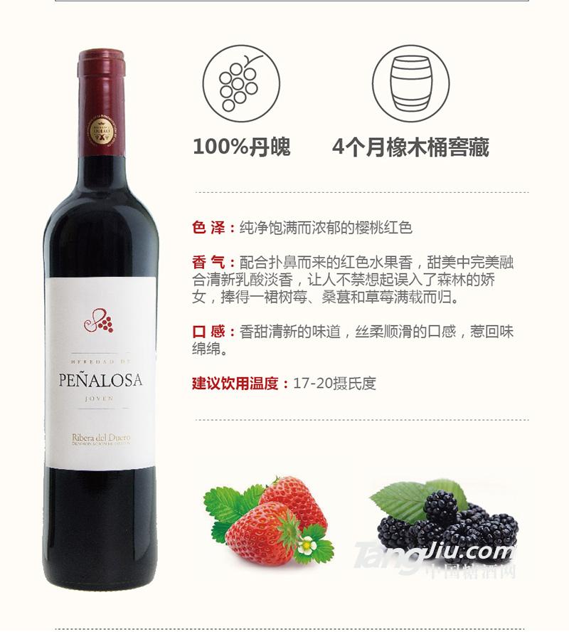 14佩纳罗莎丹魄天帕尼罗红葡萄酒-01.jpg