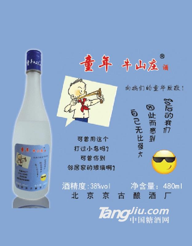 38度浓香型480ml