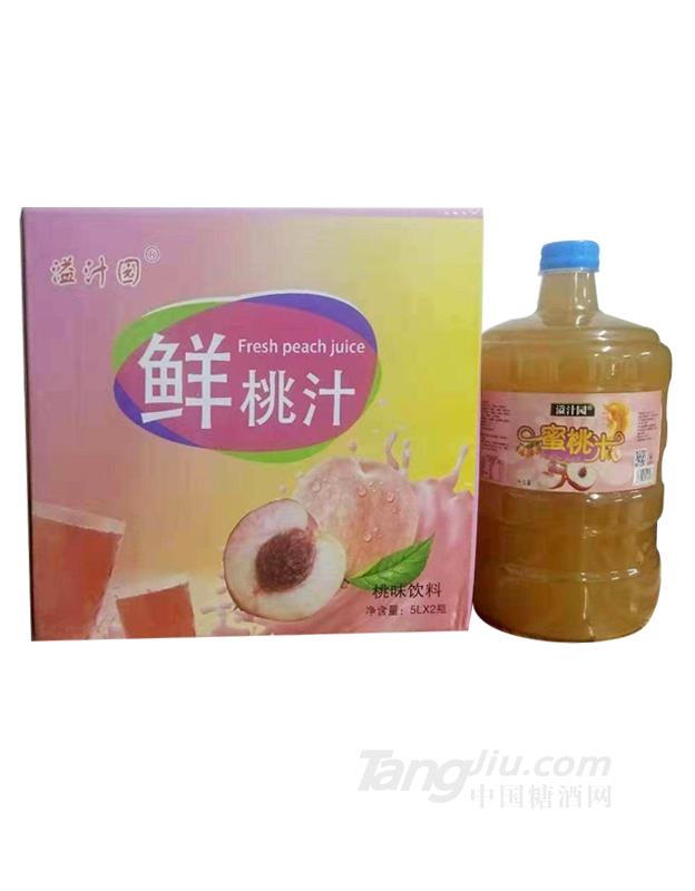 溢汁园鲜桃汁饮料5L×2瓶
