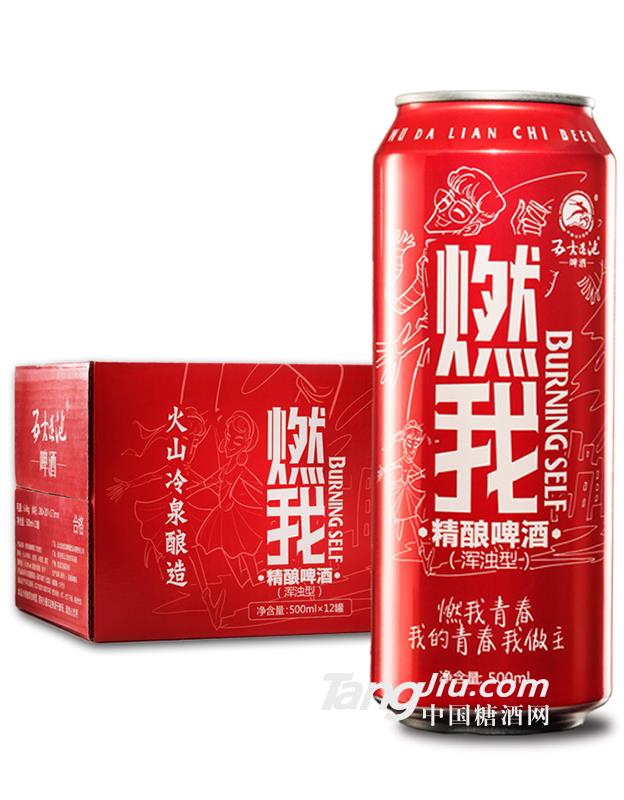 燃我精酿啤酒（浑浊型）500ml×12