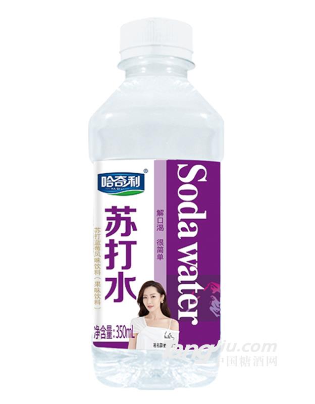 哈奇利苏打水蓝莓味350ml