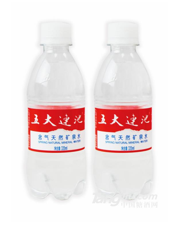 五大连池含气天然矿泉水335ml×20瓶