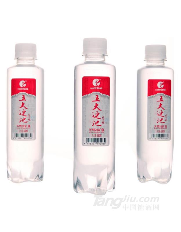 五大连池天然矿泉水300ml×24瓶