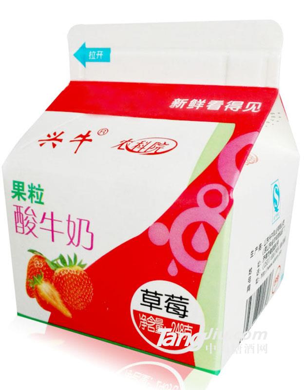 兴牛草莓果粒酸牛奶（袋装）-248g