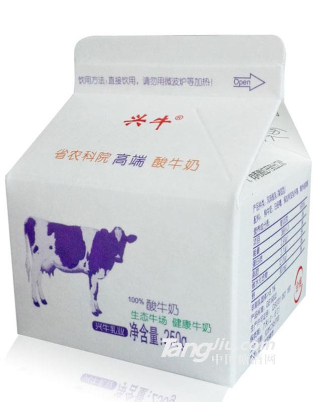 兴牛高端酸牛奶（盒装）-250g