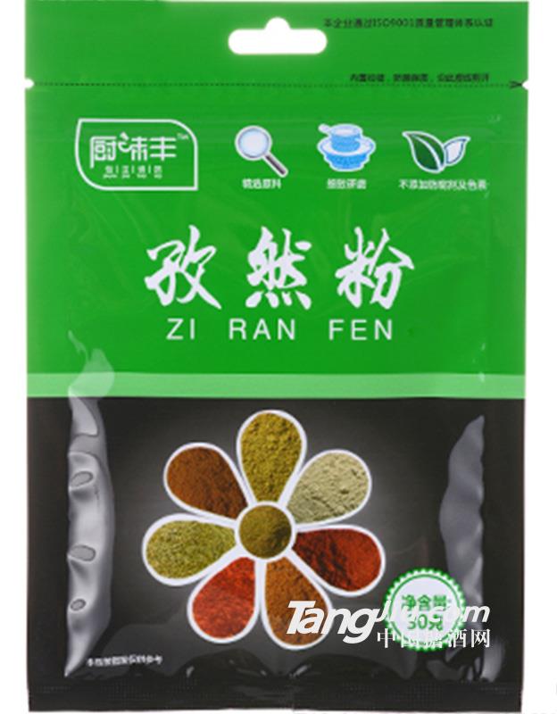 厨味丰孜然粉30克