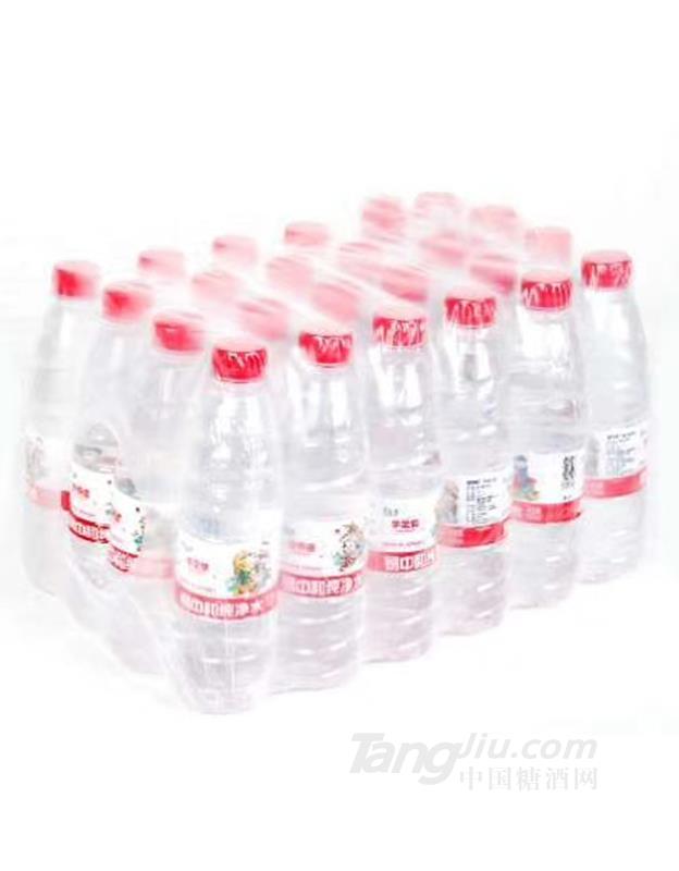 纯净水24瓶装