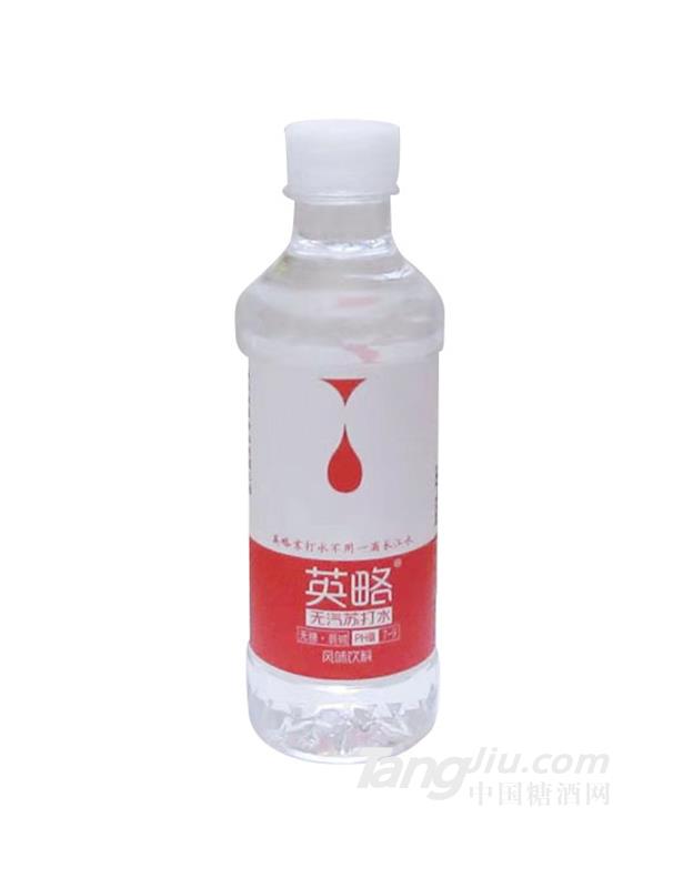 英略无汽苏打水360ml