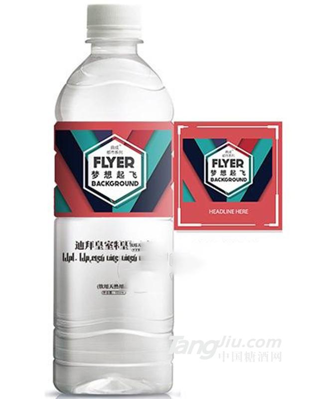 曲成梦想起飞饮用天然泉水500mL