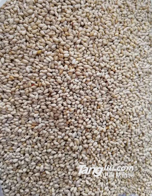 精品特好熟白芝麻