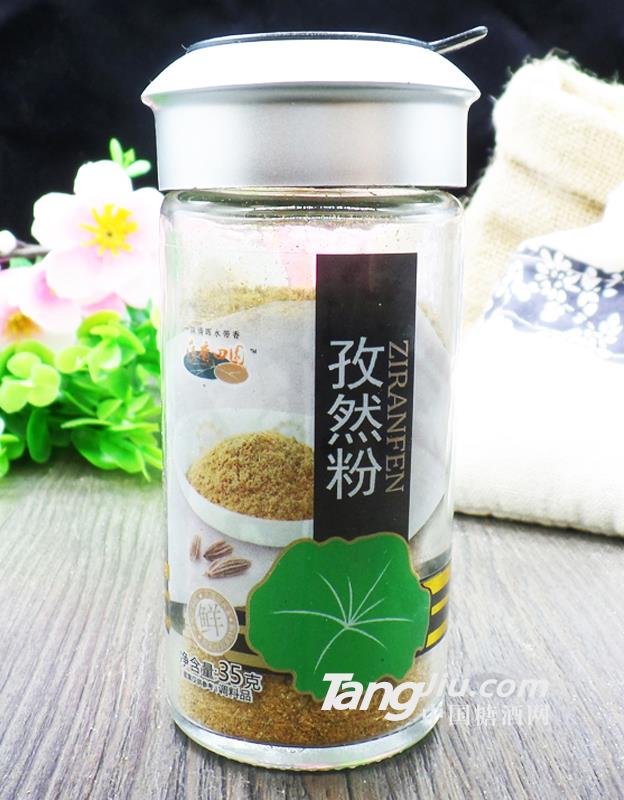 荷香田园孜然粉35g