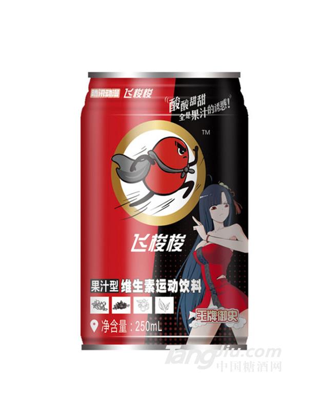 飞梭梭维生素运动饮料250ml