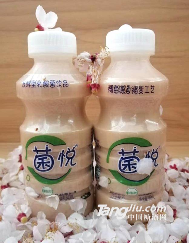 菌悦乳酸菌