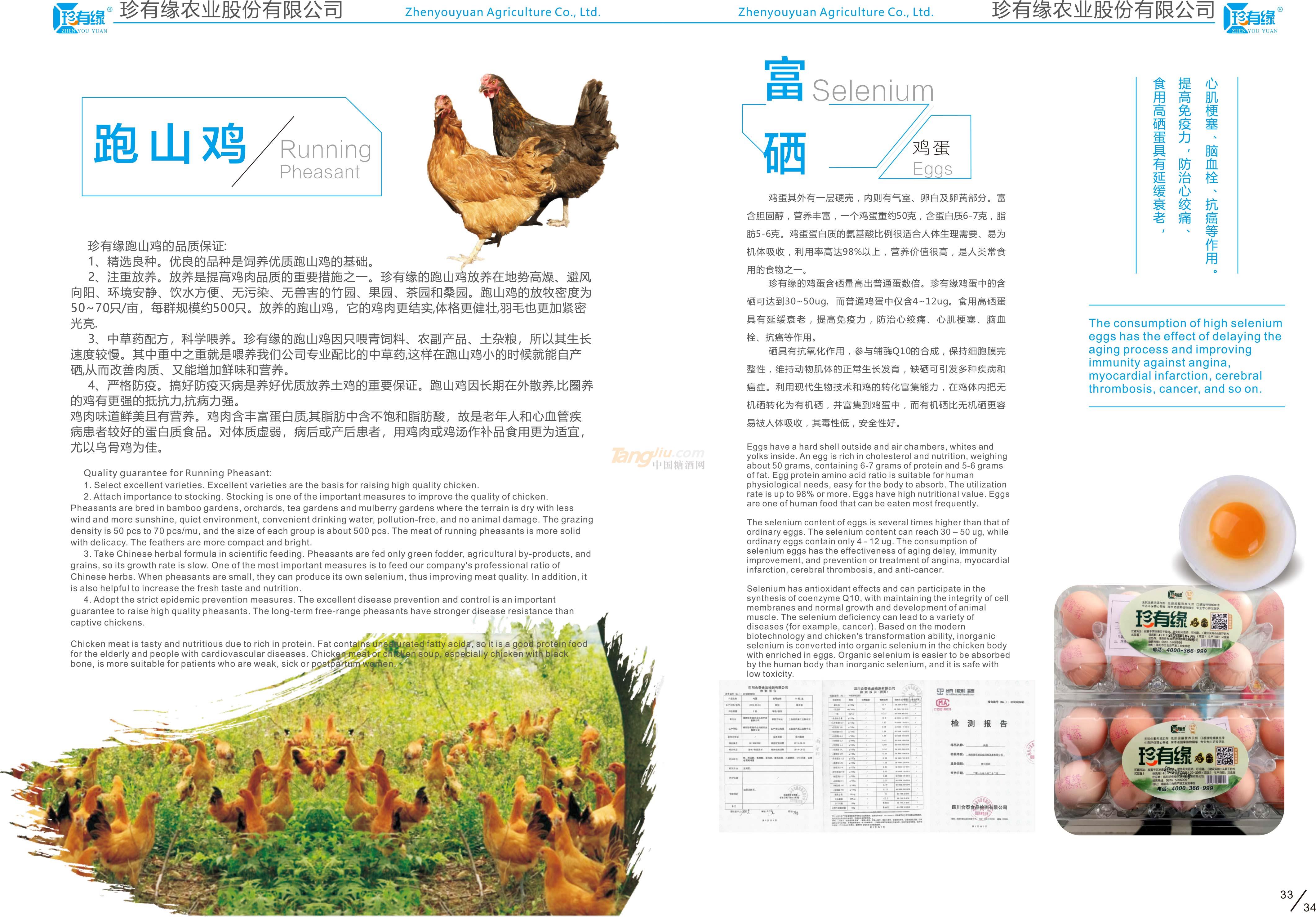 鸡蛋鸡蛋.jpg