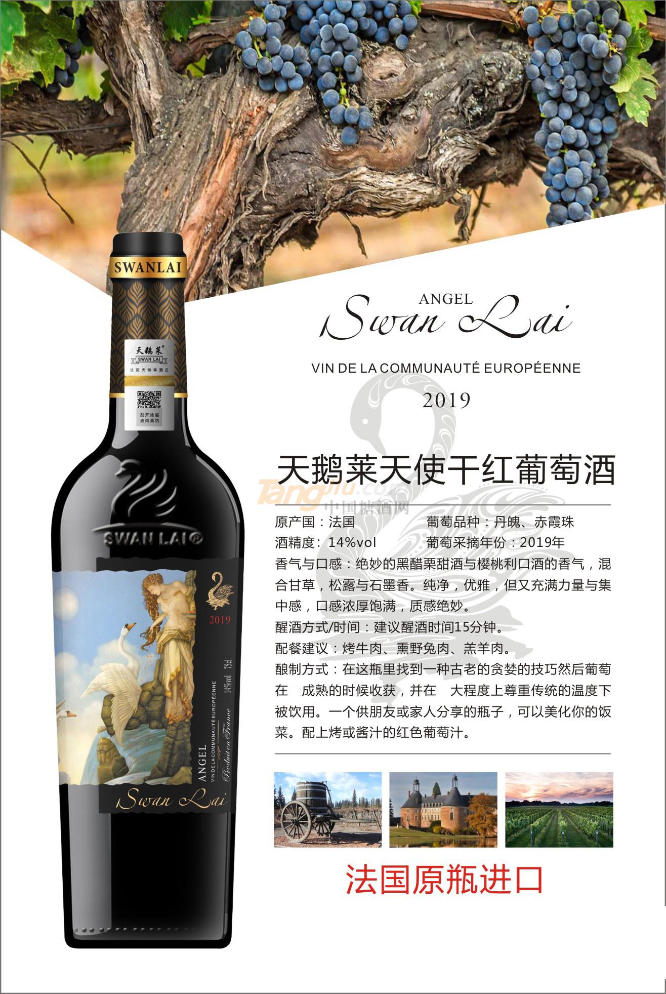 法国天鹅莱天使-(2).jpg