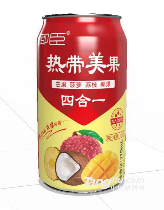 椰臣-热带美果310ml