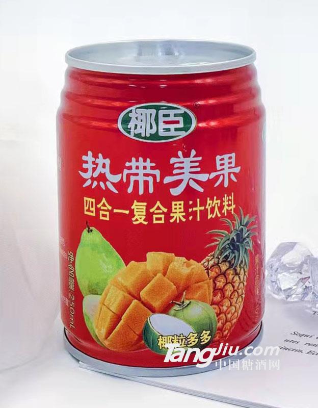 椰臣-热带美果250ml