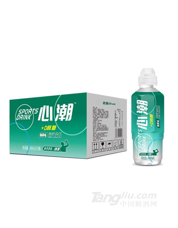 心潮运动饮料柚橘味480mlx15瓶