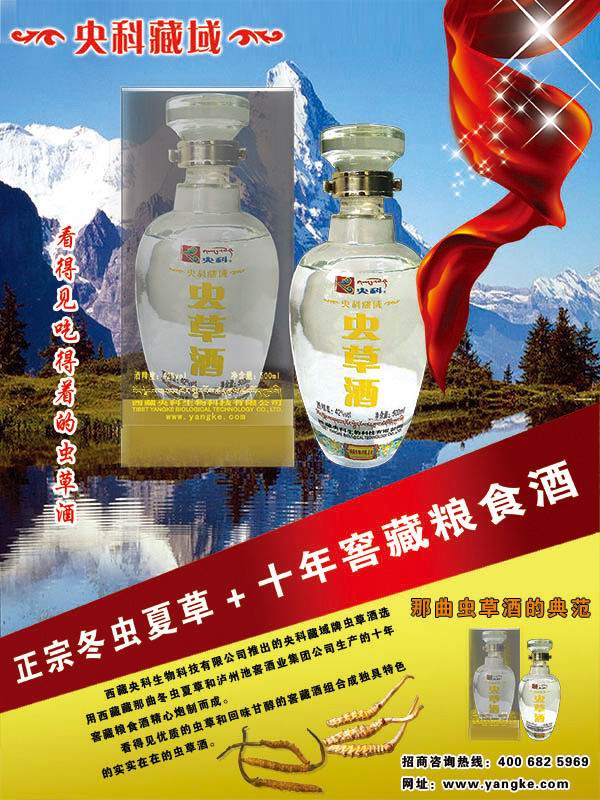 供应虫草酒