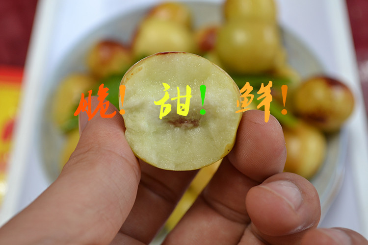 供应沾化冬枣
