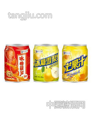 正大金洲果汁饮料