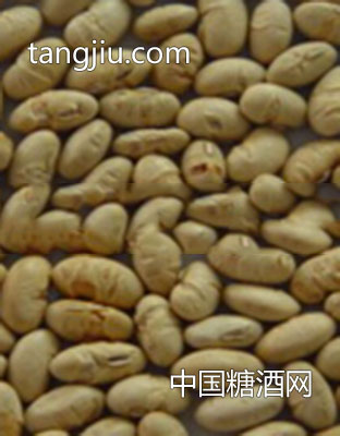 烤黄豆（ZX-H14）
