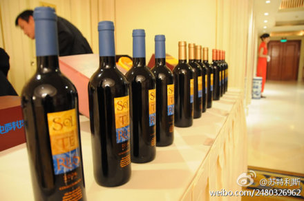 西班牙原装进口苏特利斯特技干红葡萄酒